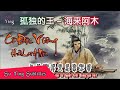 Vietsub | Cô Độc Vương - Hải Lai A Mộc | 孤独的王 - 海来阿木 | Nhạc Hot Douyin Vietsub | Cô Độc Vương - Hải Lai A Mộc | 孤独的王 - 海来阿木 | Nhạc Hot Douyin
