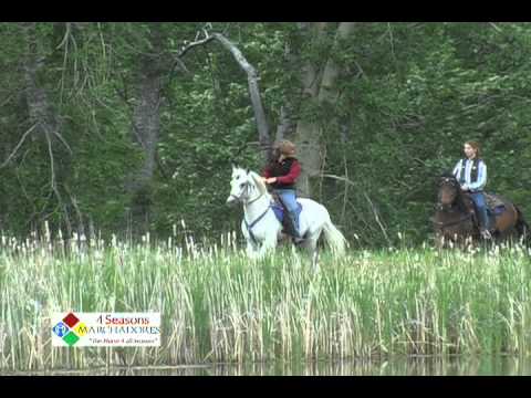 4 Seasons Marchadores.mov