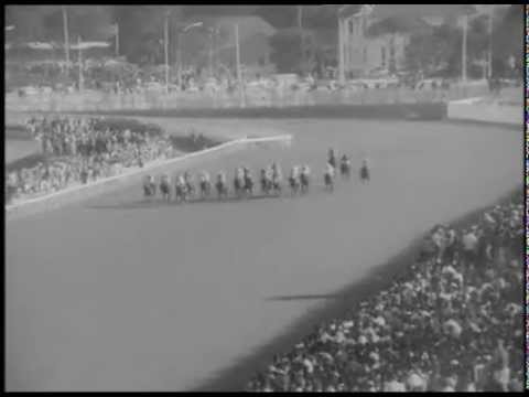 Jollify Vs Sea Cottage