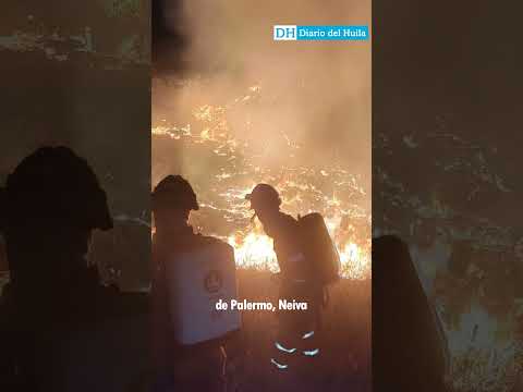 Un incendio forestal generó alerta en inmediaciones de la zona industrial de Palermo