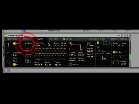 Natural Selection S Deep Dive - Synth Engine
