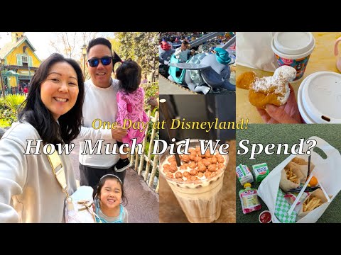 How Much We Spent in ONE Day at Disneyland (Family of 4)