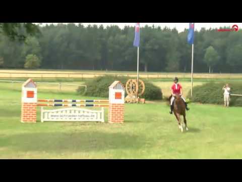 STALL VÖLZ Hengst BRANTZAU SF Turnier Schneverdingen 07/2016