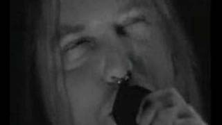 Nevermore - Next in Line