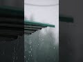 Colors Of Monsoon Rain Sound Rainy Day Instagram Reels Status Video Monsoon Reels