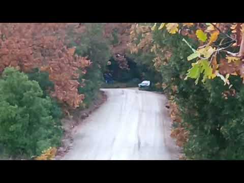 rally del brunello storico 2022 battistolli lancia 037