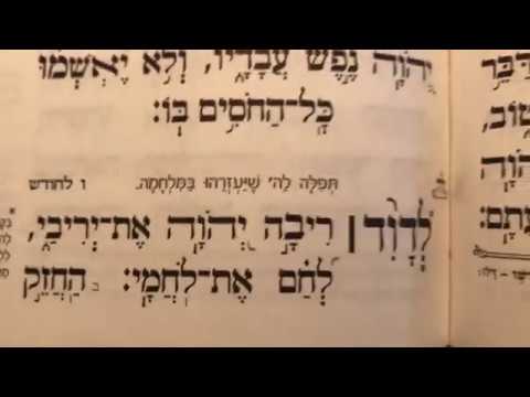 תהלים פרק לה׳ Tehilim perek 35 Psalms chapter 35 לדוד ריבה ה׳ את יריבי