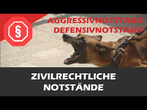 Aggressivnotstand & Defensivnotstand - Strafrecht AT I 11 - § 228, 904 BGB