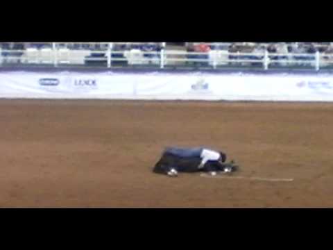 Clinton Anderson Walkabout Tour!!