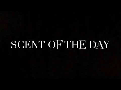 SCENT OF THE DAY