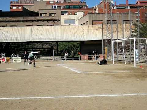u.e. sants - gimnastica iberiana