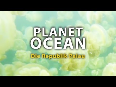 Planet Ocean - The Republic of Palau (2011) [Documentary] | Film (German)