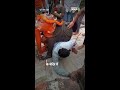 Viral: Gujarat के मंदिर में हाथी की मूर्ति के नीचे फंसा भक्त - Video