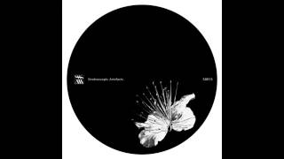 Kangding Ray &#39;Wars&#39; [Stroboscopic Artefacts - SA015]