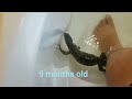Asian Water Monitor 15 Months Growth Rate Female
