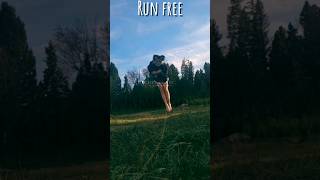 Download lagu Run wild, run free! And thank you sm for 3k!❤️🥹🥳 #therian #quadrobics #therianthropy #viral mp3 Download lagu Run wild, run free! And thank you sm for 3k!❤️🥹🥳 #therian #quadrobics #therianthropy #viral mp3