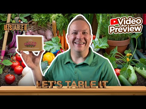 Soiled - Preview & How to Play