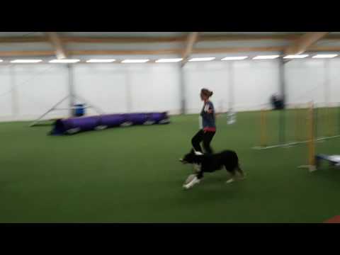 Any | A3 DWA Östringen 07.01.2016