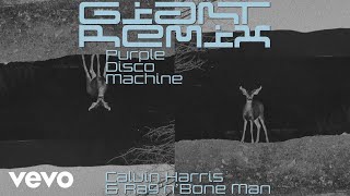 Calvin Harris, Rag&#39;n&#39;Bone Man - Giant (Purple Disco Machine Remix) [Audio]