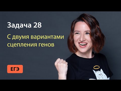 Задача 28 с двумя вариантами сцепления генов из ЕГЭ по биологии