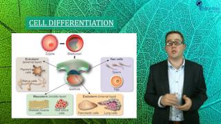 Essentials Concept Video SACE2 Biology - Gene Expression