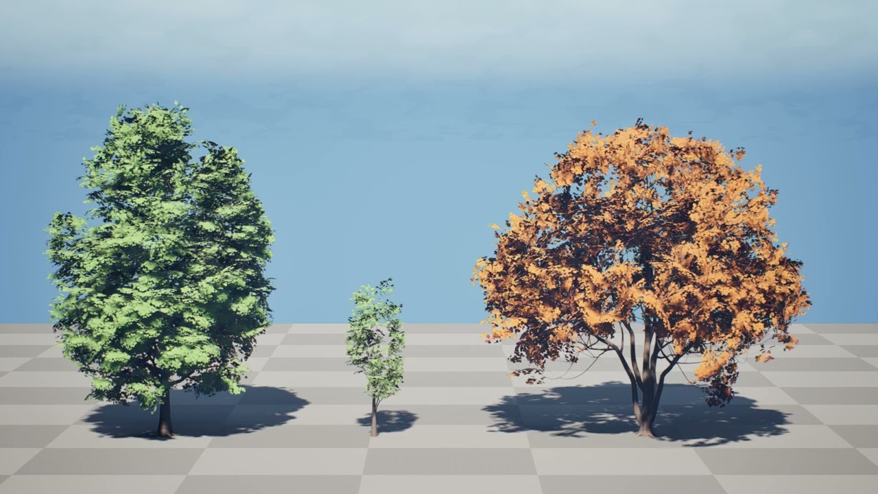 北米産シュマードオーク 3Dモデル