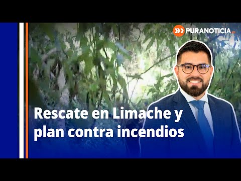 Rescatan a joven extraviada en cerro de Limache y alcalde refuerza plan contra incendios