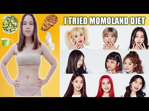 Momoland Diet | Diet Vlog |