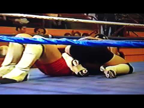 Pancrase/shooto 1999