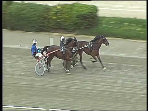 Trotto 09/06/2016 - 1° prova di qualifica