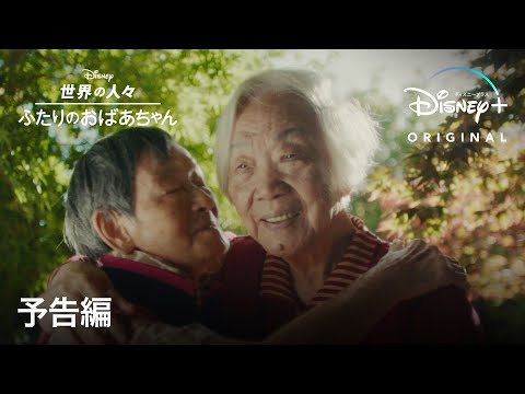 予告編（字幕版）