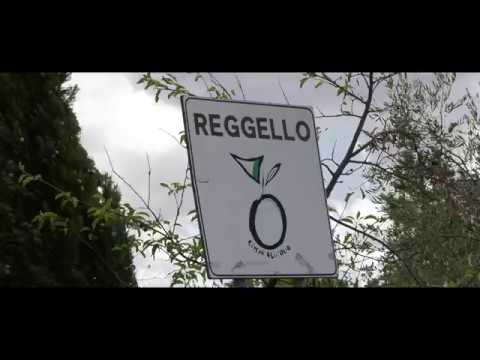 11° Rally di Reggello   Bettini   Lupi