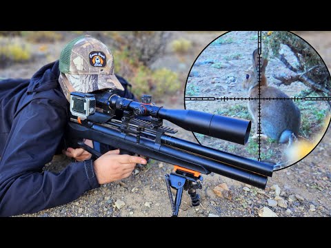 Plaga sin Control!! Parte 1 Cacería de Conejos con PCP P35