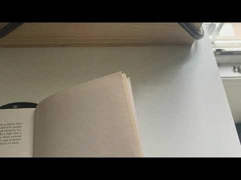 heylog - i love you (audio)