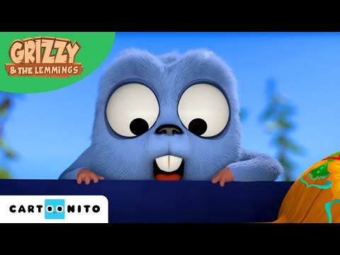 Grizzy i Lemingi | Słodka muzyka | Cartoonito