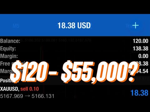 The $120 to $55k Forex Challenge: One Week of Extreme Risk