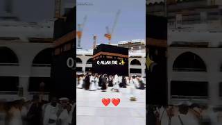 Download lagu Oh Allah The Almighty ❣️Allah hu Allah |Saim Yusuf voice|#trending#shorts#allah mp3 Download lagu Oh Allah The Almighty ❣️Allah hu Allah |Saim Yusuf voice|#trending#shorts#allah mp3