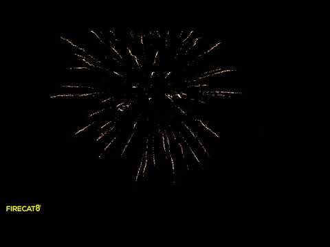 Dominator - Double Barrel