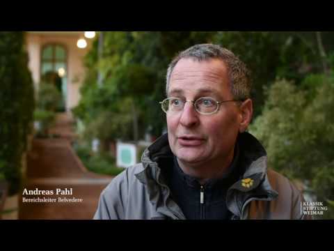 Pflanzensammlung im Langen Haus Belvedere