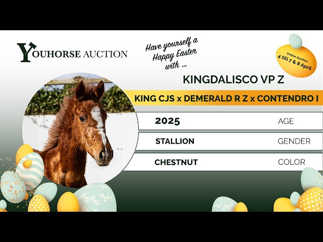Kingdalisco VP Z