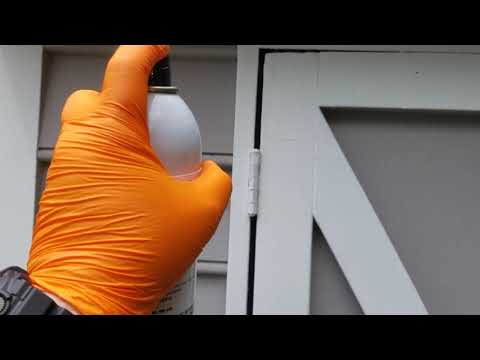 Exterminating Flies in Sea Girt, NJ