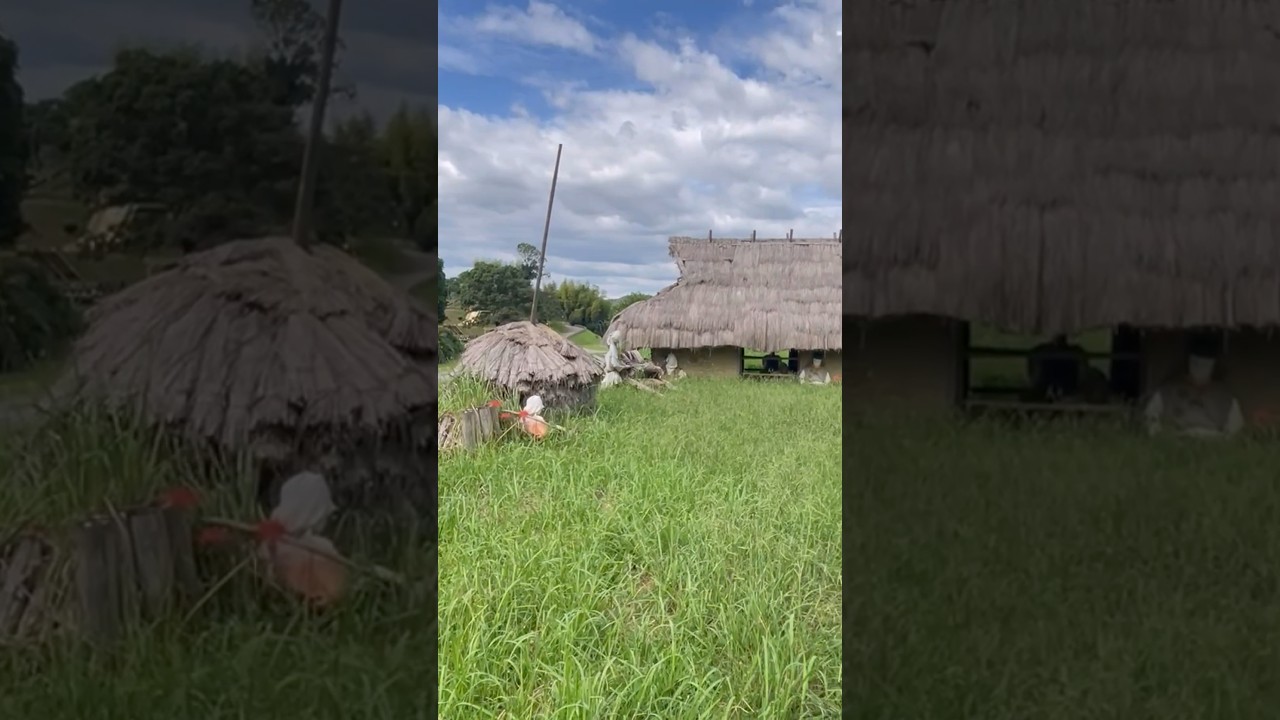 YouTube Short thumbnail