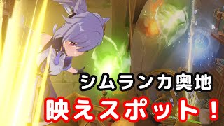 [原神]シムランカの最奥で無限飛行