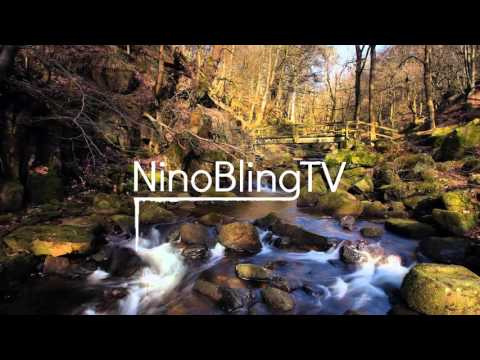 Derick Banks - Yolo (Original mix)