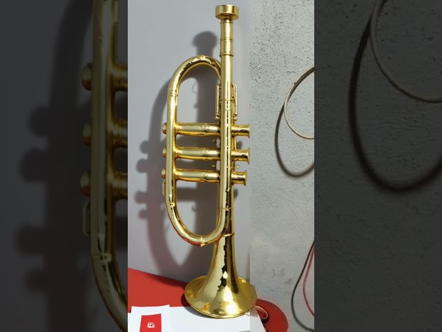 Vídeo relacionado con RASTKY Trompeta Musical Decoración De Escritorio Colección De Modelos De Instrumentos Musicales Adornos De Trompeta Artesanía - Decoración