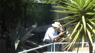 "HANNO ACCISO  MASANIELLO"-U ZU GIUVANNI