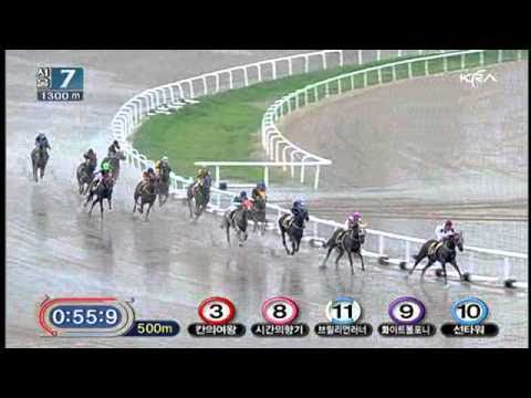 Korean Horse Racing and My Trio Bet