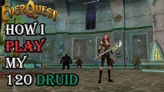 How I Play My 120 Druid - Everquest Guide