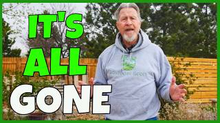 Garden Tour & Garden Recovery (In the Garden 4-26)