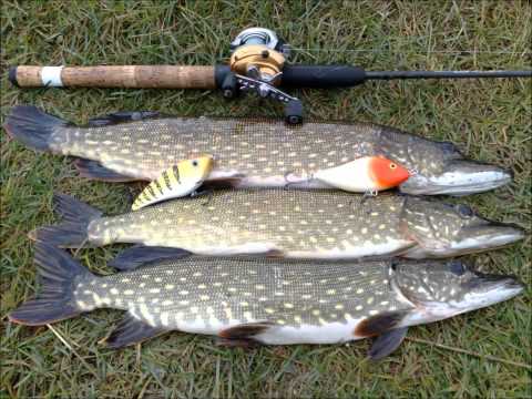 ,   Latvija, Aleksandrs Romanovs